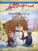 Dry Creek 3 - Snowbound in Dry Creek