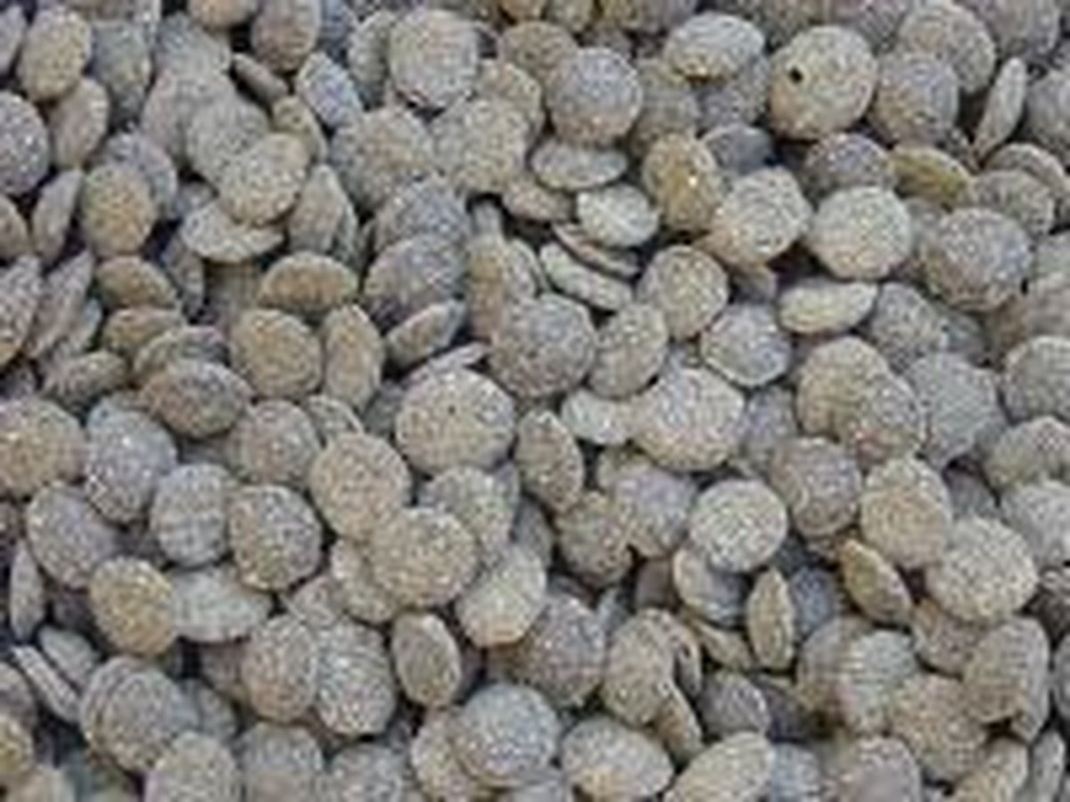 Vivani visvoer Mini Wafels met spirulina 0,5 liter