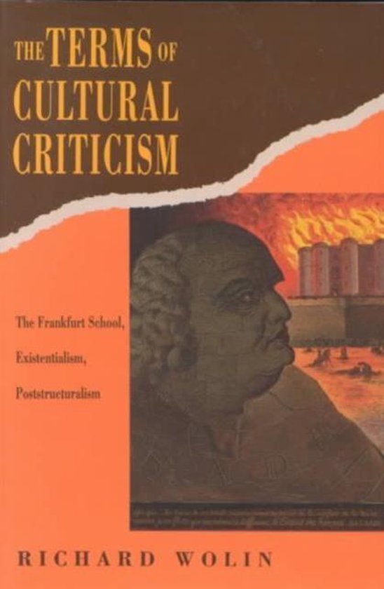 The Terms of Cultural Criticism - The Frankfurt School, Exis ... - cover