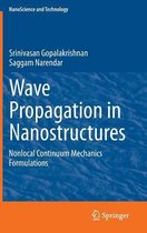 Wave Propagation in Nanostructures