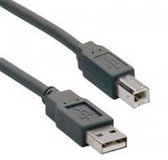 Ednet USB A - USB B 5 m USB-kabel Zwart