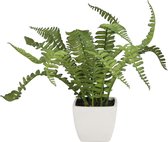 Europalms kunstplant - varen in pot - 25cm - in pot