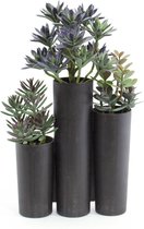 EUROPALMS Succulent trio, artificial, 43cm