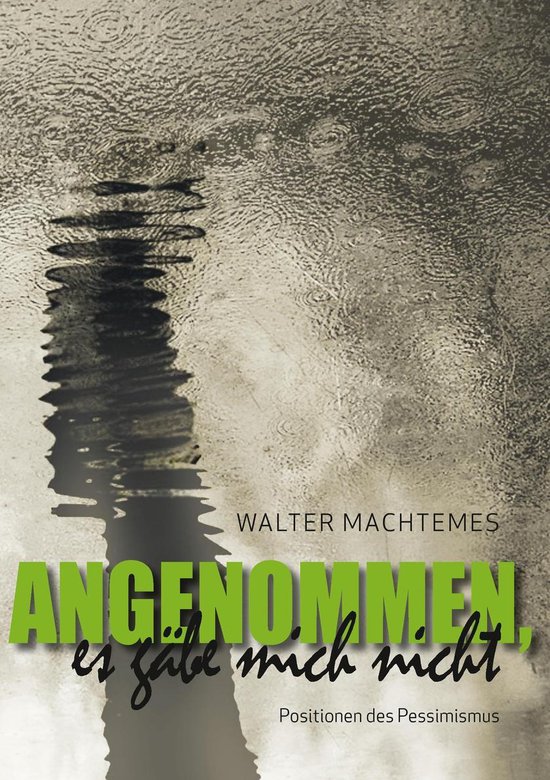 Angenommen, es gäbe mich nicht - cover