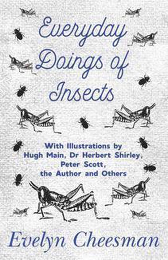 Everyday Doings of Insects - With Illustrations by Hugh Main ... - cover