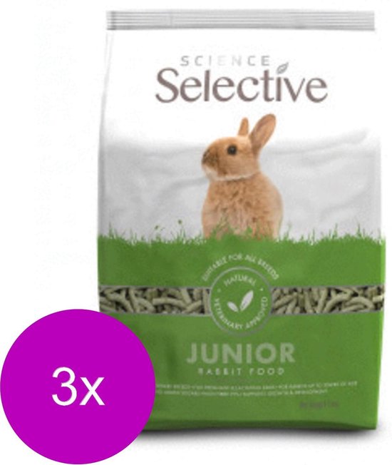 science selective junior