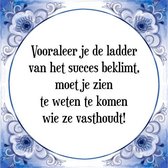 Tegeltje met Spreuk (Tegeltjeswijsheid): Vooraleer je de ladder van het succes beklimt, moet je zien te weten te komen wie ze vasthoudt! + Kado verpakking & Plakhanger