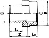 Inzetschroefbus 75 x 2" lijm x binnendraad