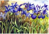 Artibalta Diamond painting kit Blue Irises AZ-1248