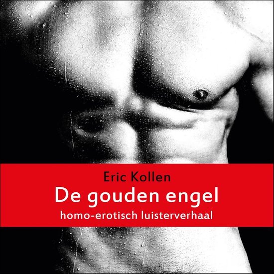 De gouden engel - cover