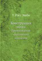Конструкция мозга