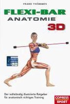 Flexi-Bar Anatomie 3D
