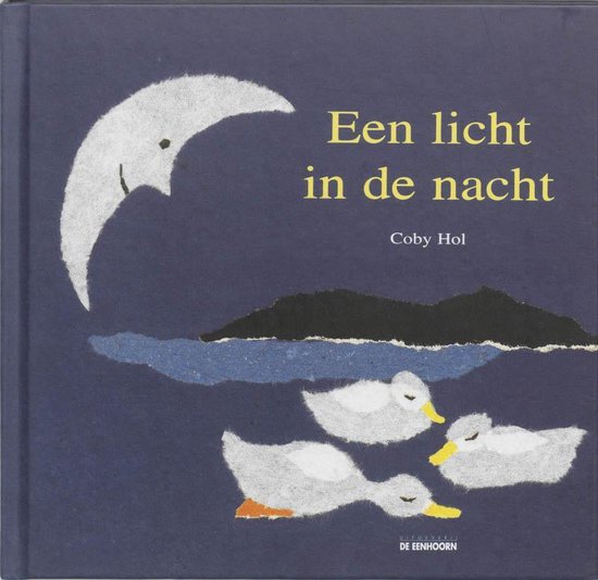 Cover van het boek 'Een licht in de nacht' van Coby Hol