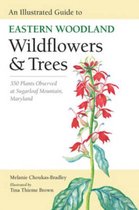 Boek cover An Illustrated Guide to Eastern Woodland Wildflowers and Trees van Melanie Choukas-Bradley