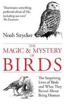 Magic And Mystery Of Birds