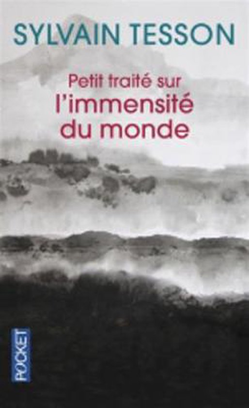 Presses pocket PETIT TRAITE SUR IMMENSITE MON, Français, 166 pages