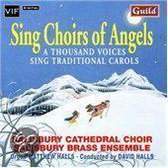 Sing Choirs of Angels / Halls, Salisbury Cathedral Choir
