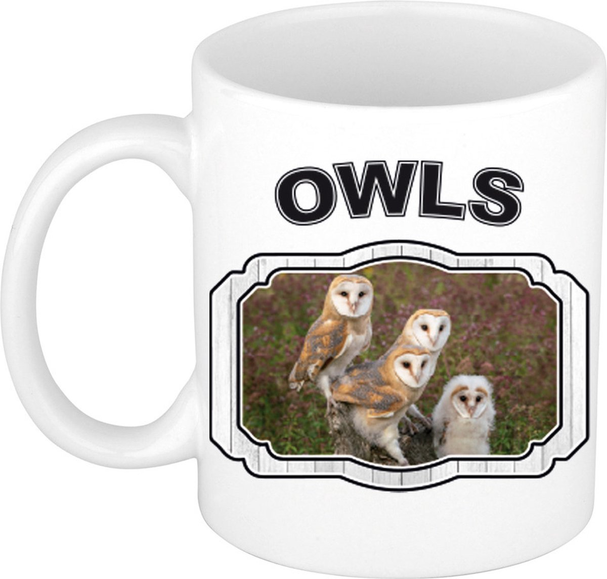 Dieren liefhebber kerkuil mok 300 ml - kerramiek - cadeau beker / mok uilen liefhebber