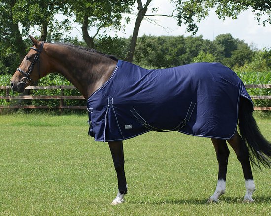 Bruin paard met een donkerblauwe zomerdeken met witte bies