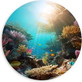 PVC Schuimplaat Muurcirkel - Onderwater - Oceaan - Zee - Koraal - Vissen - Kleuren - Zon - 60x60 cm Foto op Muurcirkel (met ophangsysteem)