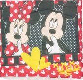 Disney Minnie Mouse Colsjaal / Nekwarmer