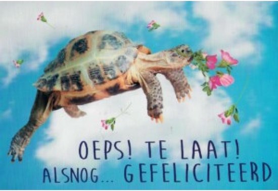 Oeps! Te laat! Alsnog gefeliciteerd! Een grappige kaart met een