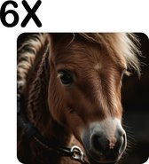 BWK Flexibele Placemat - Lieve Bruine Pony - Set van 6 Placemats - 40x40 cm - PVC Doek - Afneembaar