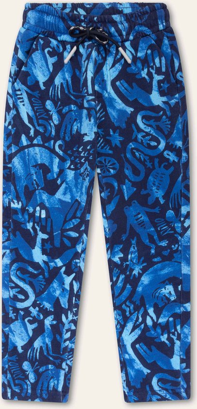 Pike pants 55 AOP Archeoilily Blue: 116/6yr