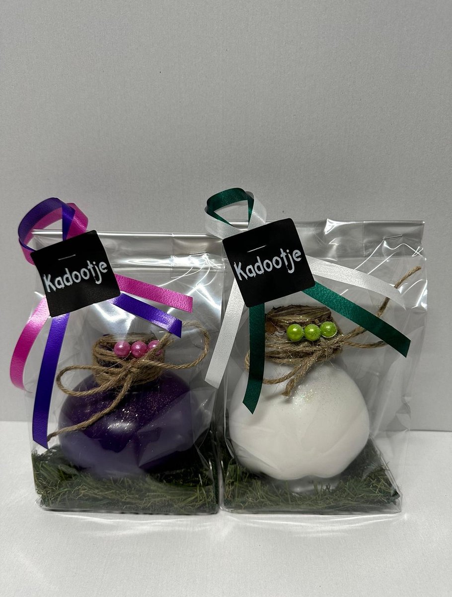 Wax Amaryllis Duo Paars en Wit in leuke geschenkverpakking