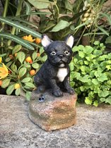 Welkom pup Franse Buldog zwart 12 cm hoog - levensecht - hond - dog - polyester - polyresin - polystone - hoogkwalitatieve kunststof - decoratiefiguur - interieur - accessoire - voor binnen - cadeau - geschenk - tuinfiguur - tuinbeeldje - tuindecorat