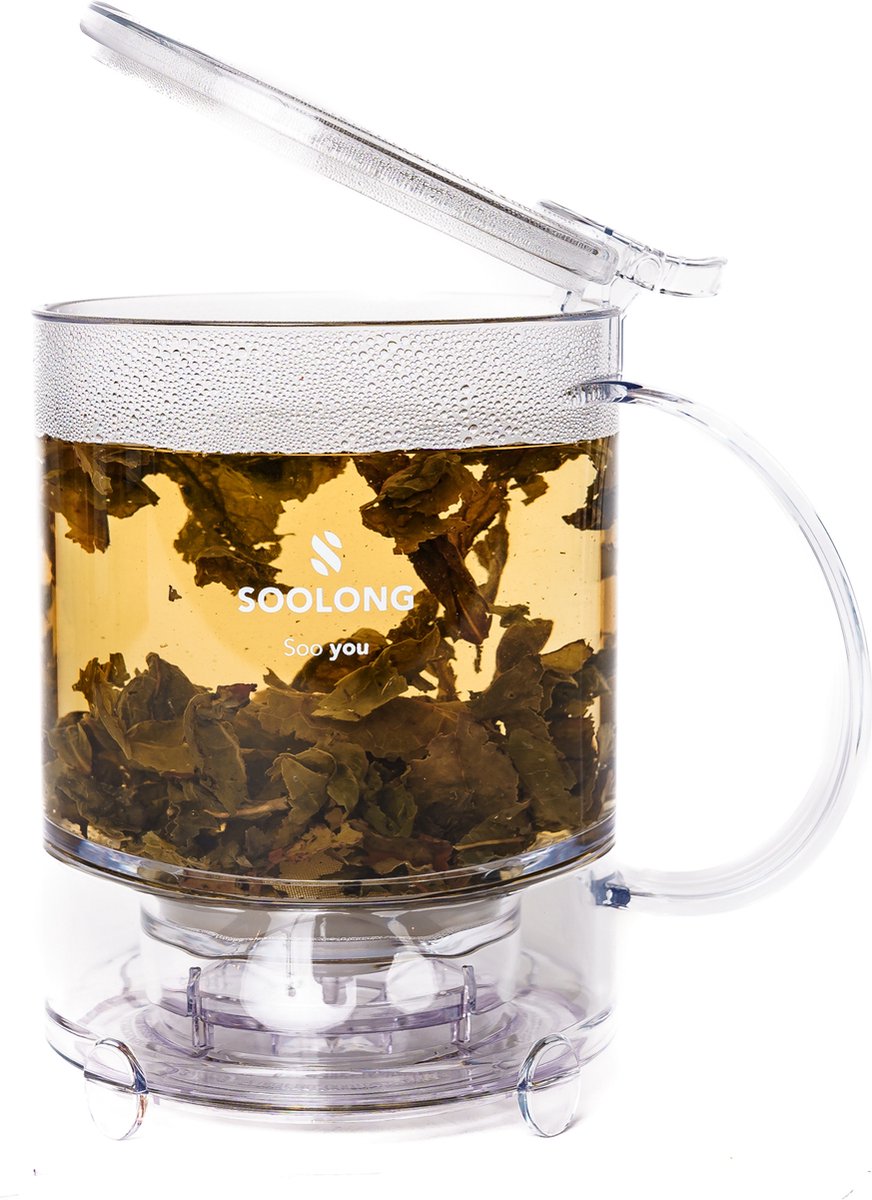 Soolong Teamaker, Infuse Expert, Handige Theemaker, Ice-teamaker voor thee en Ice-tea gemaakt van Tritan, Tea maker is BPA-vrij en vaatwasserbestendig - 450ML - 1stuks