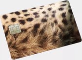 Pinpas Sticker Dierenvacht Cheeta - Grote Chip