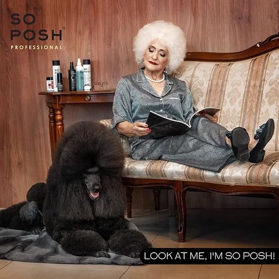 Oudere vrouw met witte krullen op een bank, leest een boek. Een zwarte poedel ligt ernaast. Producten op een tafel. Tekst: "LOOK AT ME, I'M SO POSH!".