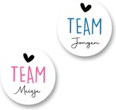 24x Gender reveal Stickers - Team Jongen- Team Meisje - 40mm - Glossy stickers - Sluitzegels - Babyshower