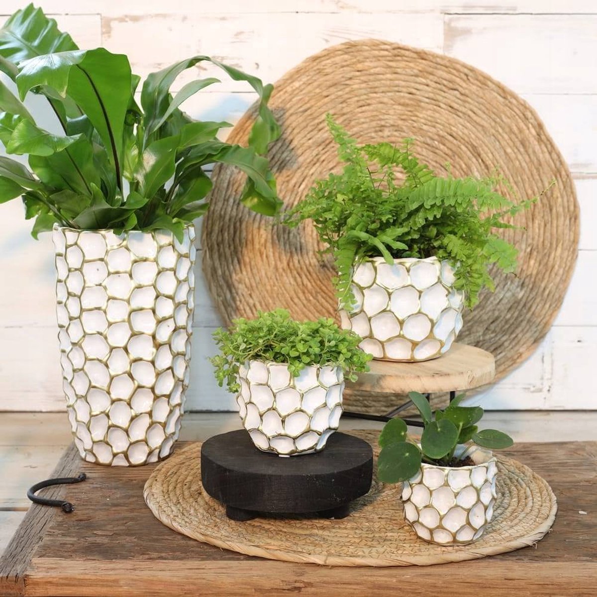CASA DI ELTURO IDEAS DENTED POT WHITE GOLD Assortiment van 3
