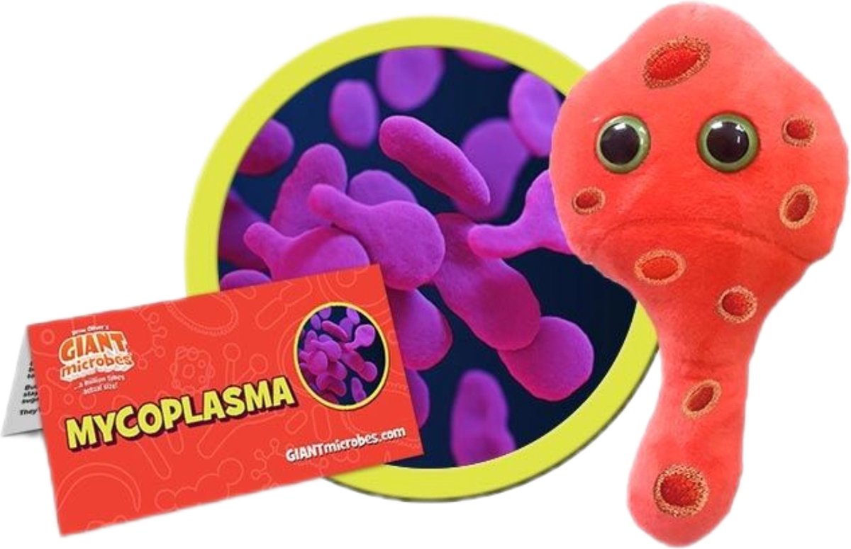 Mycoplasma (Mycoplasma Genitalium)