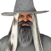 Fiestas Guirca Barbe Et Moustache Synthétique Grijs Taille Unique