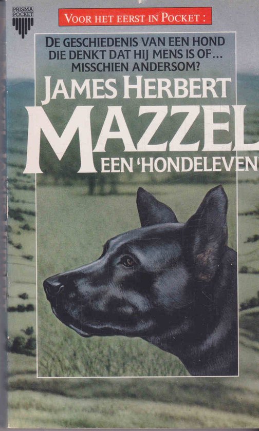 Mazzel