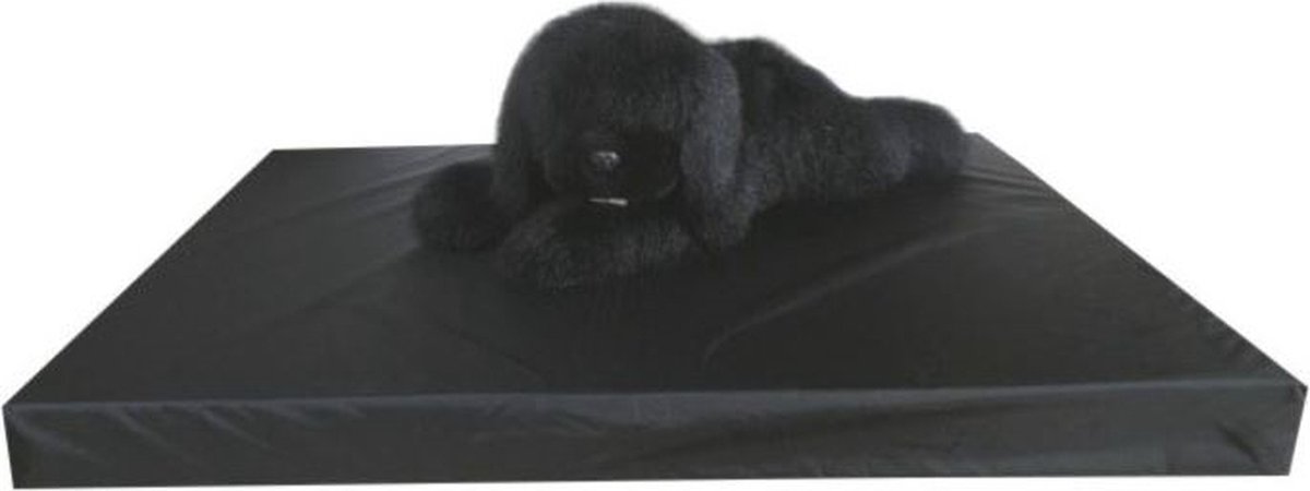 Gezondheidsmatras Leatherlook Zwart M - 80 x 55 cm - Luxe Hondenmatras Hondenbed Hondenkussen Hondenbed