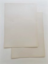 Therapeutenpapier - 100 vel - 80 grams - 25x32,5CM - Zweeds papier - Schilderen/Tekenen/Schetsen - Nat-in-nat
