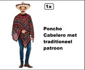Poncho Cabelero - party à thème au Mexique, carnaval, festival amusant