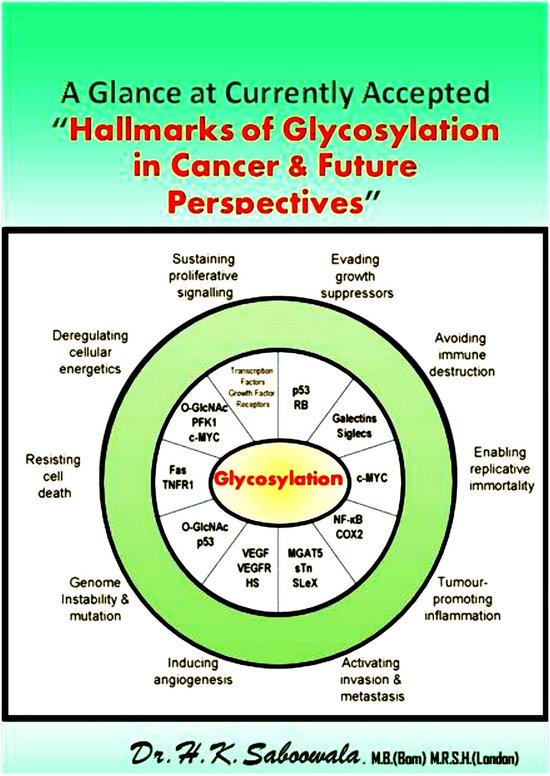 A Glance at Currently Accepted “Hallmarks of glycosylation in cancer ...