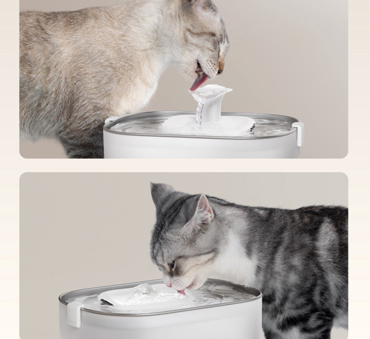 Petlibro Dockstream Automatische Drinkfontein 2,5L Wit thumbnail 6