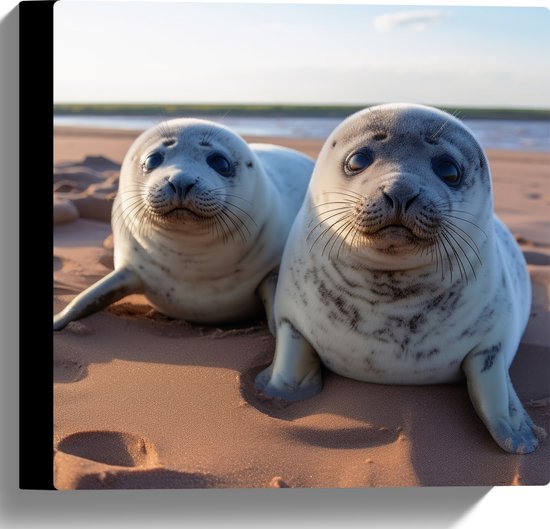 Canvas - Zeehonden - Strand - Dieren - Water - Zand - 30x30 cm Foto op Canvas Schilderij (Wanddecoratie op Canvas)