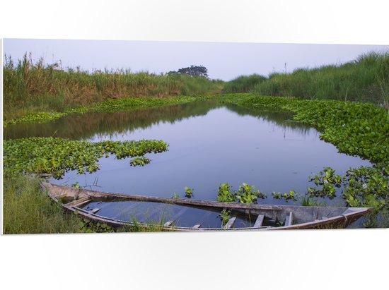 PVC Schuimplaat- Water - Boot - Hout - Gras - Planten - 100x50 cm Foto op PVC Schuimplaat