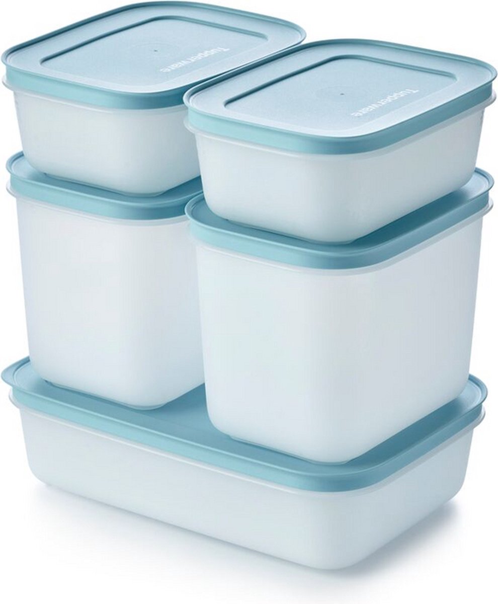 Tupperware Ilgoo Diepvriesdozen Set 5 Stuks Alaska Diepvriesbakjes 