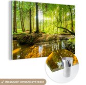 Glasschilderij - Acrylglas - Bos - Zon - Rivier - Wanddecoratie - Glasschilderij binnen - Foto op glas - 60x40 cm - Schilderij - Glasschilderij natuur