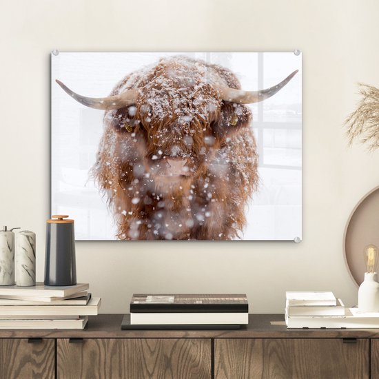 MuchoWow® Peinture sur Verre - Highlander écossais - Cornes - Neige - 40x30 cm - Peintures sur Verre Acrylique - Photo sur Glas