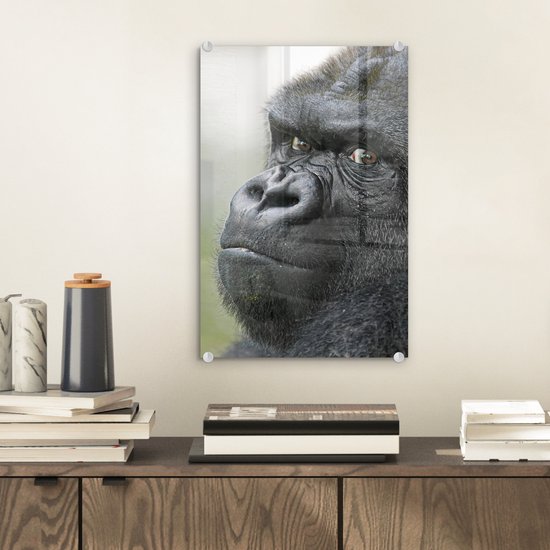 An amazing Gorilla Plexiglass 20x30 cm - small - Tirage photo sur Glas (décoration murale en plexiglas)