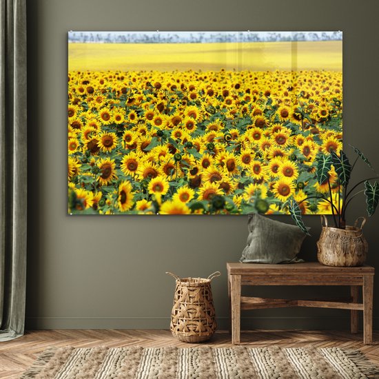 MuchoWow® Peinture sur verre 180x120 cm - Peinture sur verre acrylique - Tournesol - Fleurs - Nature - Photo sur verre - Peintures